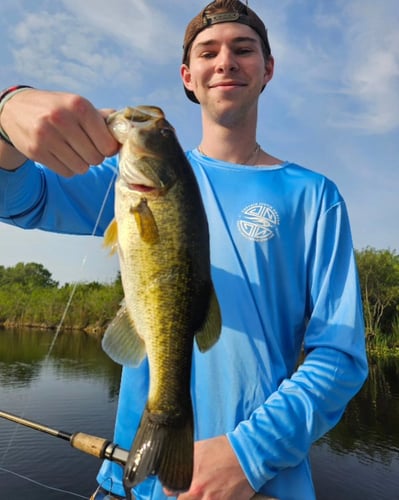 Peacock Bass: Fly Or Spin In Fort Lauderdale