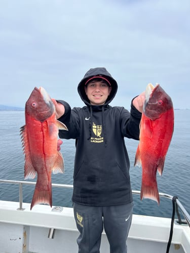 4 Hour Fishing Experience In Long Beach