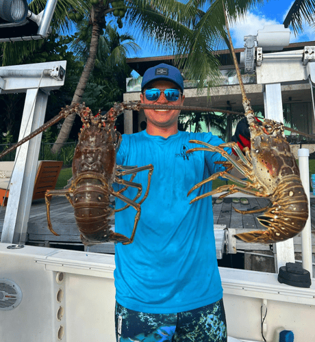 Lobstering Miami Beach In Miami Beach
