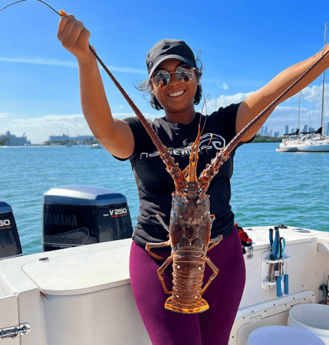Lobstering Miami Beach In Miami Beach