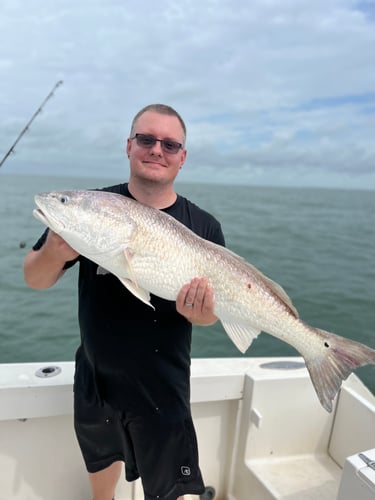 Offshore - State Waters 30' Proline In Galveston