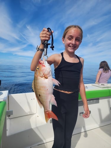 10hr Offshore Trolling And Bottom Fishing In Port Orange