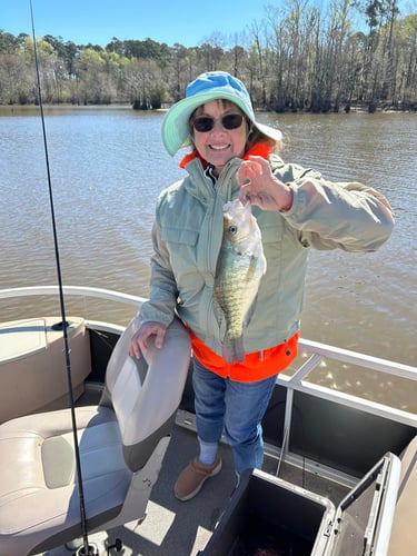 4 Hour Crappie Fishing Trip In Broaddus