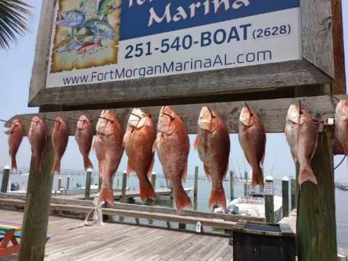 Gulf Shores Off Shore In Gulf Shores