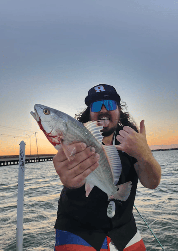6 HR BAY FISHING In Corpus Christi