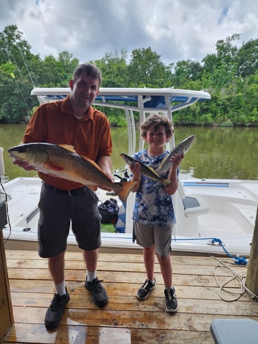 Marsh Redfish Pursuit In Saint Bernard