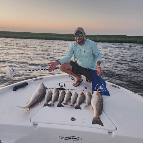 Marsh Redfish Pursuit In Saint Bernard