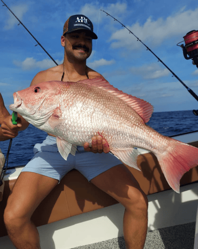Cape Horn Red Snapper - Only In St. Petersburg