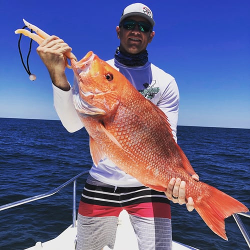 Federally Permitted Red Snapper Trip In Galveston