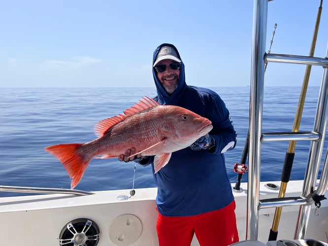 Federally Permitted Red Snapper Trip In Galveston