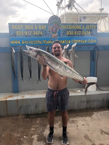 King Fish Trip In Galveston