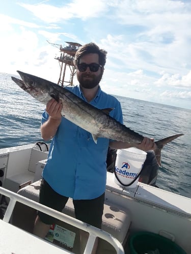 King Fish Trip In Galveston