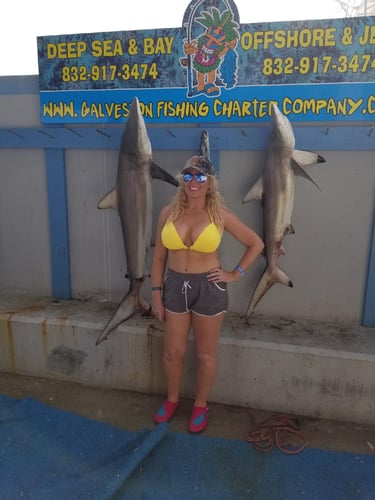 Galveston Shark Fishing- 32' In Galveston