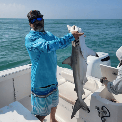 Galveston Shark Hunt!- 30' In Galveston