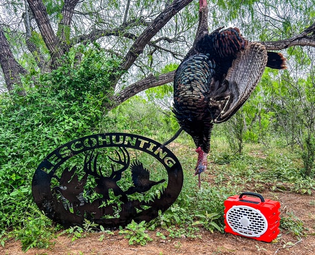 Rio Grande Turkey Hunt In Linn