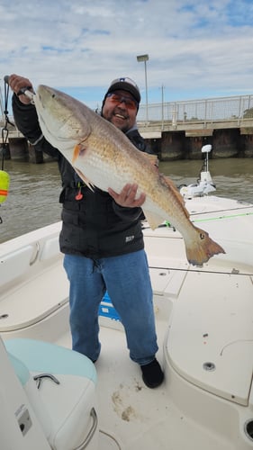 4 Hour PM Galveston Bay & Jetty Fishing In Galveston
