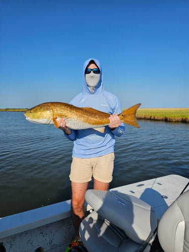 Sight Fishing For Redfish - Fly Or Spin In Saint Bernard