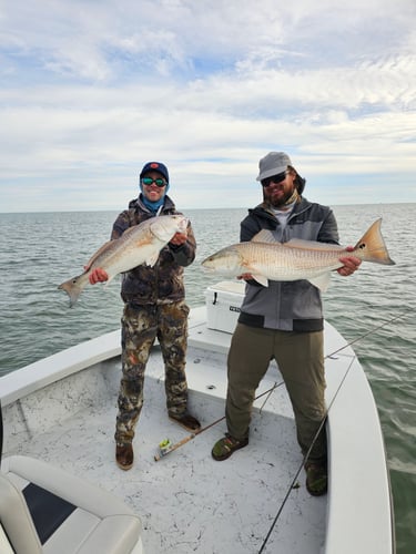 Sight Fishing For Redfish - Fly Or Spin In Saint Bernard