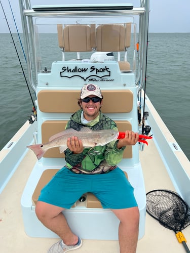 AM And PM Private Bay Fishing Trips In South Padre Island