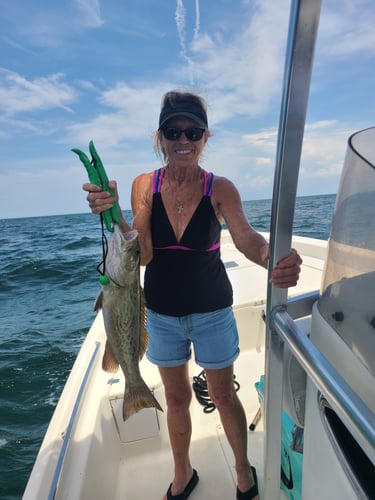 State Water Snapper Trip In Carrabelle