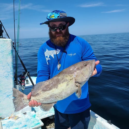 State Water Snapper Trip In Carrabelle