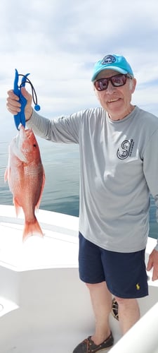 State Water Snapper Trip In Carrabelle