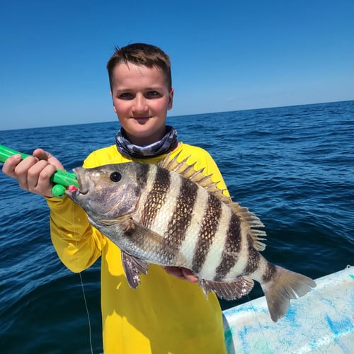 State Water Snapper Trip In Carrabelle