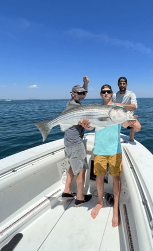 Inshore Trip- Buzzards Bay And Vineyard Sound In Falmouth