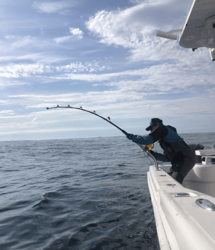 Inshore Trip- Buzzards Bay And Vineyard Sound In Falmouth