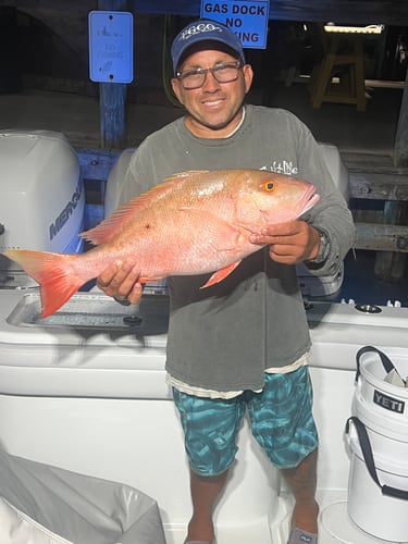 12 Hour Offshore Bottom Fishing And Deep Dropping In Englewood