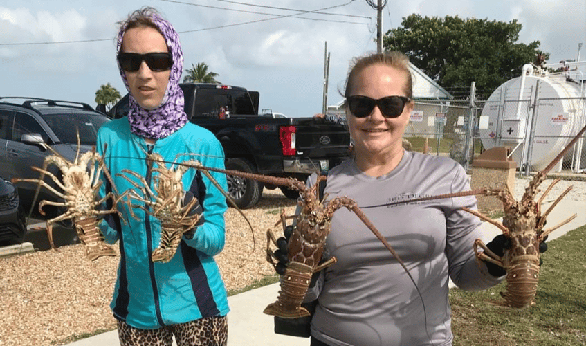 Private Full Day Lobster Snorkeling Trip In Key West