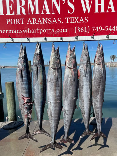 12 Hour Ultimate Fishing Experience In Port Aransas