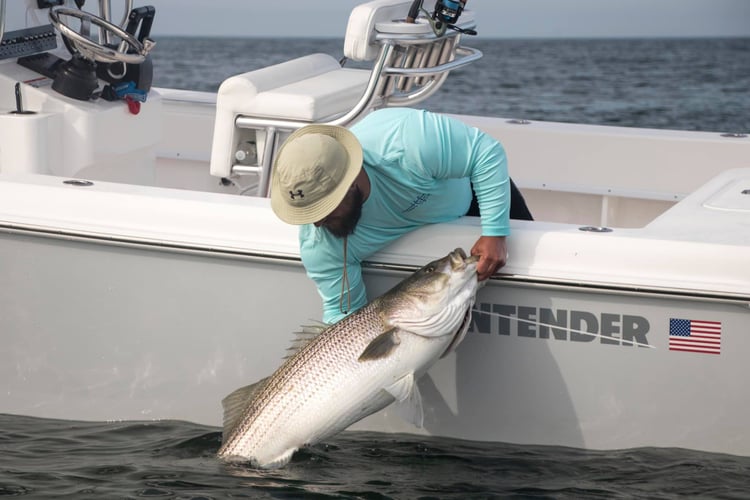 5 Hour Inshore Trip (AM) In Hampton Bays