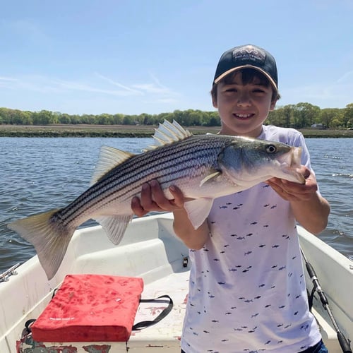 5 Hour Inshore Trip (AM) In Hampton Bays