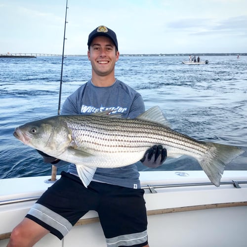 5 Hour Inshore Trip (AM) In Hampton Bays