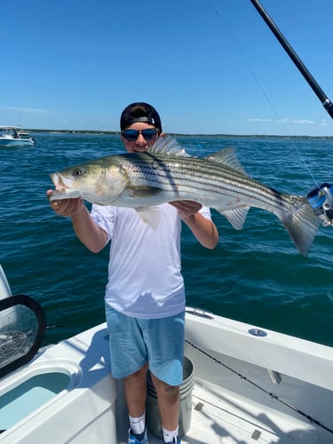 5 Hour Inshore Trip (AM) In Hampton Bays