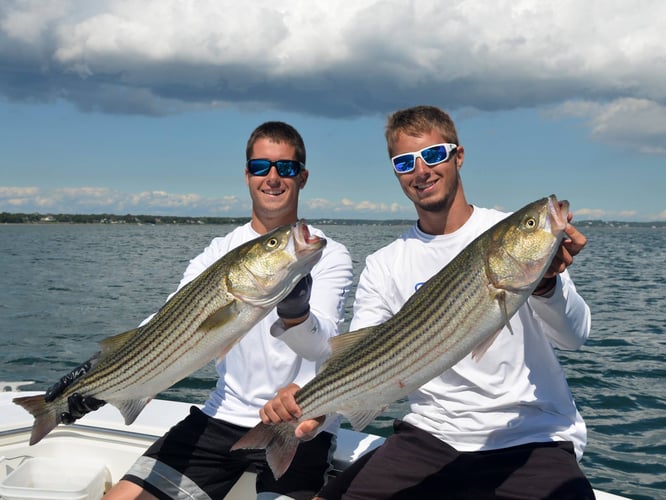 5 Hour Inshore Trip (AM) In Hampton Bays