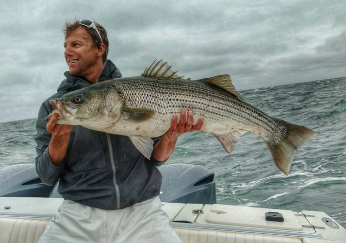 5 Hour Inshore Trip (AM) In Hampton Bays