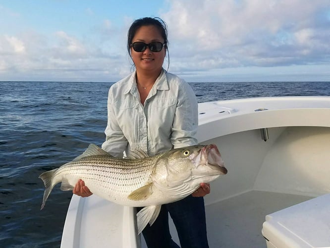 5 Hour Inshore Trip (AM) In Hampton Bays