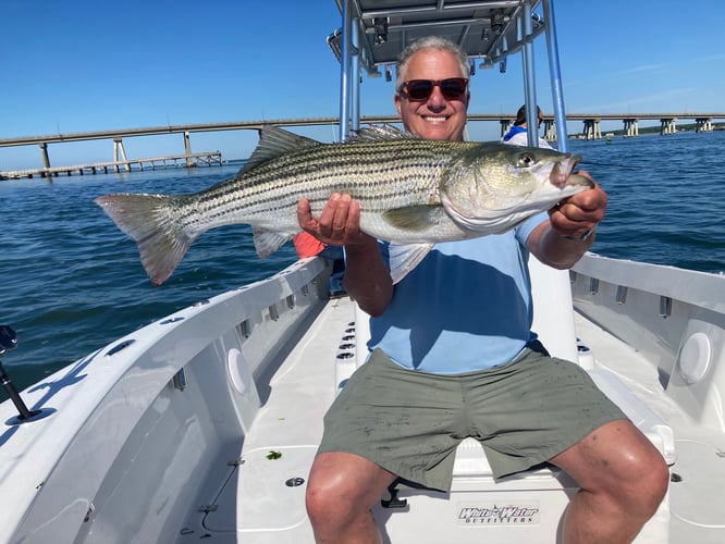 5 Hour Inshore Trip (PM) In Hampton Bays