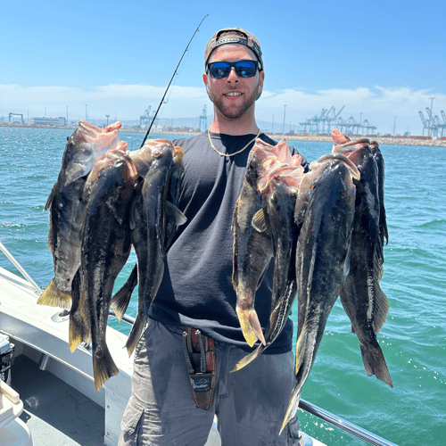 6 Hour Local Fishing In Los Angeles