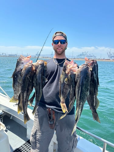 6 Hour Local Fishing In Los Angeles