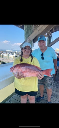4 Hour Red Snapper AM In Gulf Shores