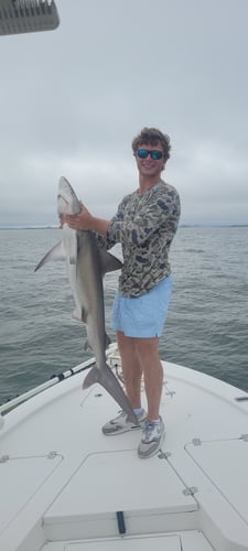 Shark Fishing With Captain Justin In Mount Pleasant