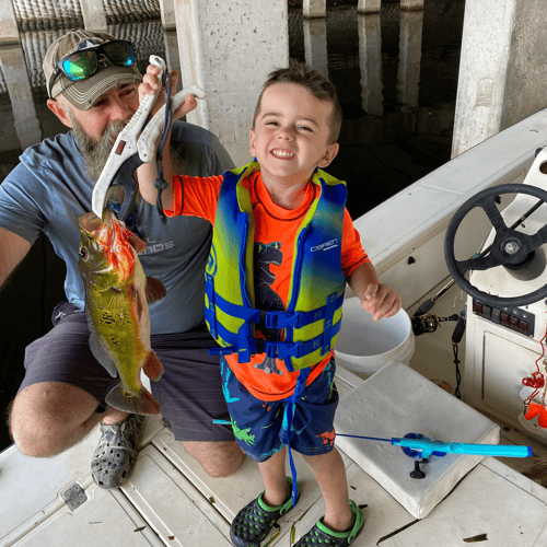 Peacocks And Exotic Fishing Trips In Lake Clarke Shores