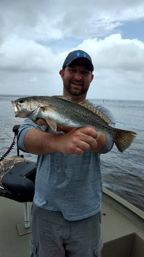 Redfish And Speckled Trout In Panama City Beach