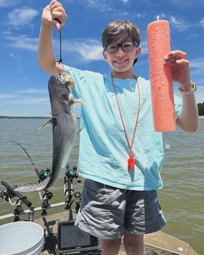 North Mississippi Catfishing Adventure In Pope