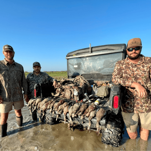 Louisiana Early Season Teal Hunts With LODGING In Biggers
