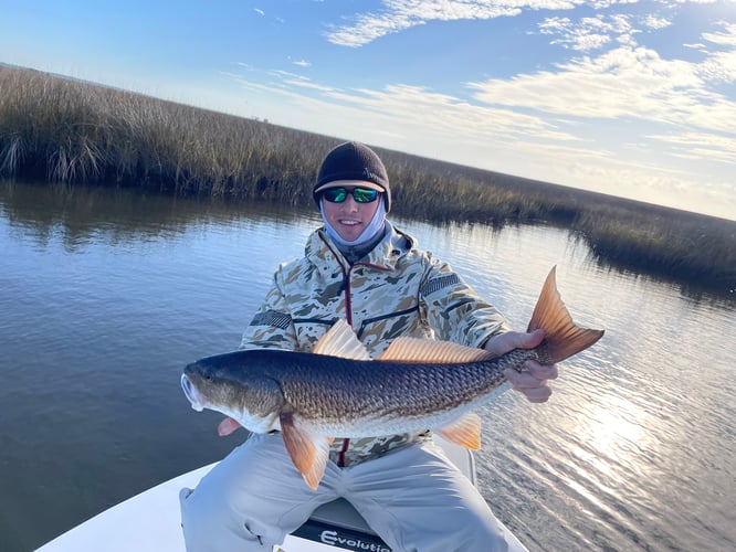 Inshore Fly Fishing Or Light Tackle In Mobile