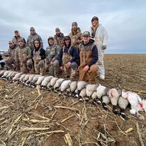 Texas Panhandle Goose Hunt In Lubbock